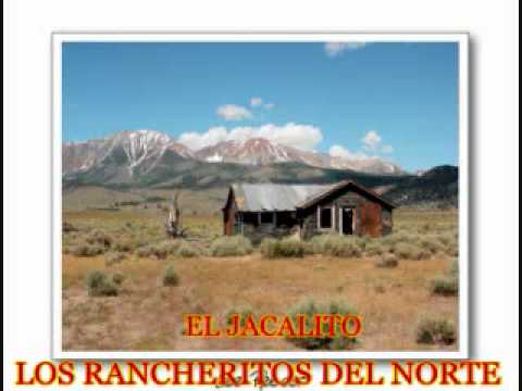 EL JACALITO LOS RANCHERITOS DEL NORTE.wmv