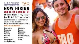 TAO Beach  Marquee Dayclub Las Vegas Hiring 2015