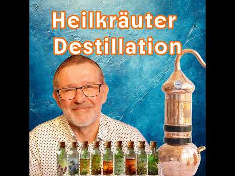 🌿Thymian destillieren -  Atempflanze und Sonnenkind🌿