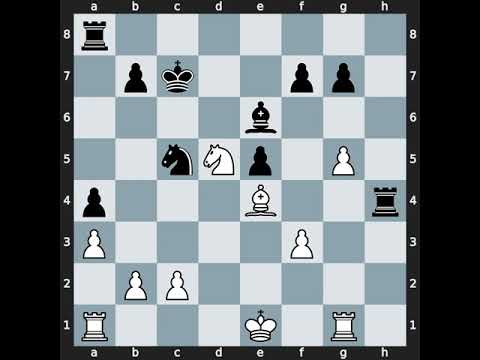 Aleksei Pridorozhni(2491) vs Jianchao Zhou(2421) | Event: Aeroflot Open B | 2005.02.18