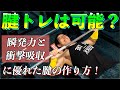 【筋トレ】腱を鍛えることは可能?  瞬発力と衝撃吸収に優れた腱の作り方!