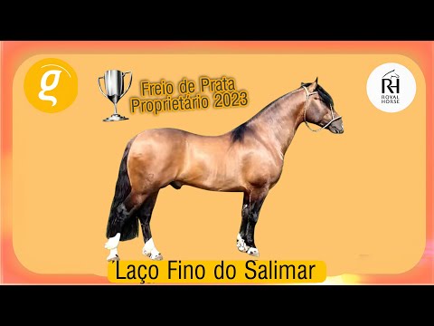 Freio de Prata Proprietário  2023 