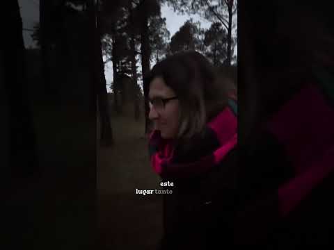 Un refugio en el bosque 🌲🏡🌲