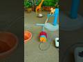 Mini Hand Pump Project Water With Supply Motor Drinks The Deer Farm Waterpump Shorts 346