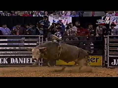 Blues Man bucks Lee Akin - 02 PBR Finals