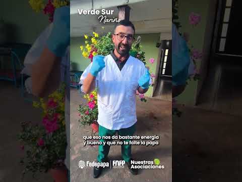 “La papa es la base fundamental de nuestra economía” 🥔🇨🇴