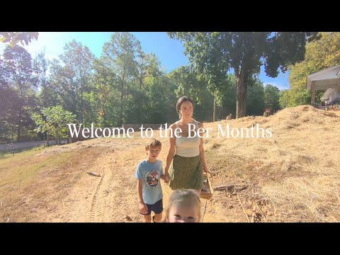 Let’s just be cozy / vlog + meatballs recipe