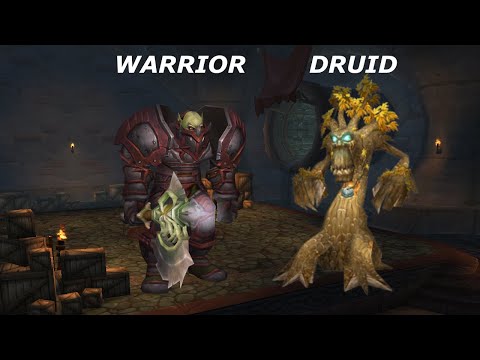 Hito - WotLK Warrior Druid ain't that bad!