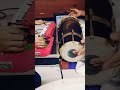 Dhipadi Dhipang Shorts Youtubeshorts Marathi Dholki Banjo Marathisong Shortsvideo Music