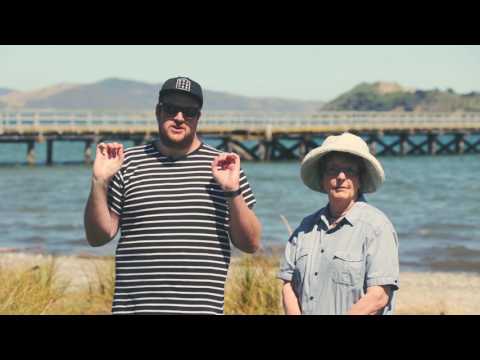 What's happening with the Petone Wharf?!?