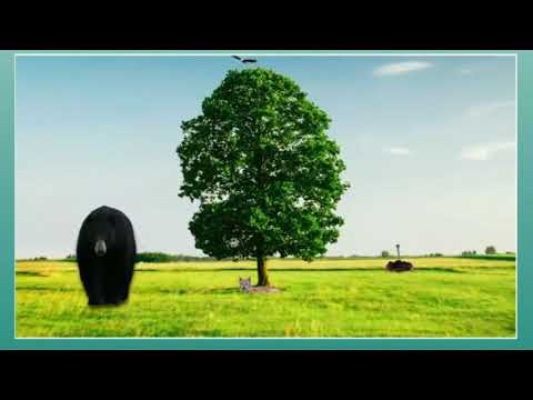 Excel 8. Module 6. Nature Reserves around the World.