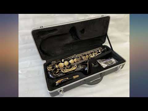 OPUS USA Professional Black-Gold Keys Eb E Flat Alto Saxophone Brand New review
