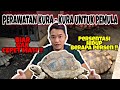 Mending Keep Sulcata Atau Forest Torto Untuk Pemula Kemungkinan Sampai Besar Brp Tonton Yah