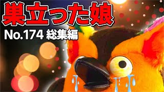 【No.174総集編】巣立つ娘と巣篭る間仁田さん【 有隣堂しか知らない世界 ゆうせか 切り抜き 】