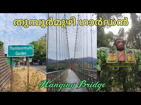 Thumboormuzhi Garden & Hanging Bridge തുമ്പൂർമുഴി ഗാർഡൻ