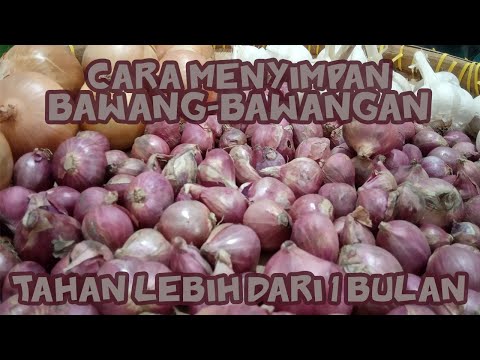 , title : 'Cara Simpan Bawang-Bawangan hingga tahan berbulan-bulan'