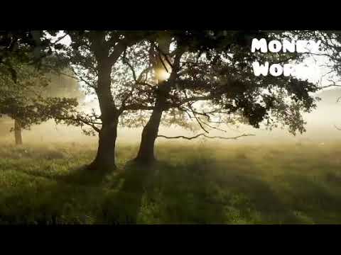 #12 #money to world #Relaxing Video