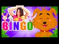 NUEVO Baila La Canción Bingo Con Titounis
