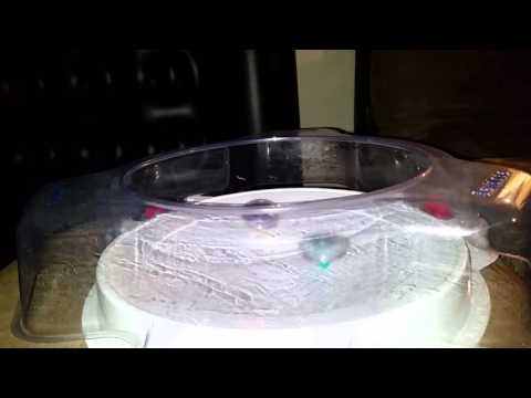 Spriggan central accel vs Wyvern spread claw