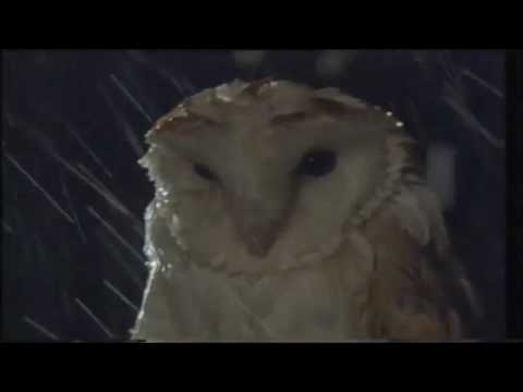 Dance Committee - Hold Me (Video) [Prismat Recordings]