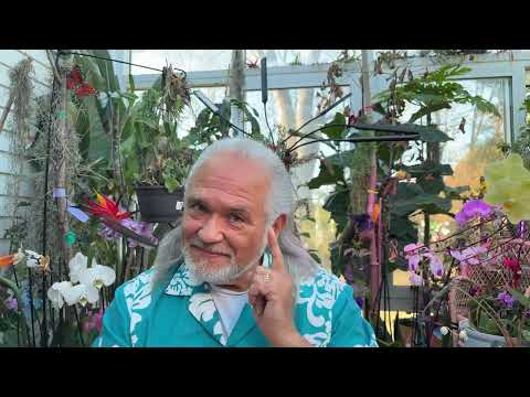 FRANK26…2-25-26….CANADA BANK STORY