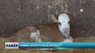 Tarımsal destek tutarları artırıldı
