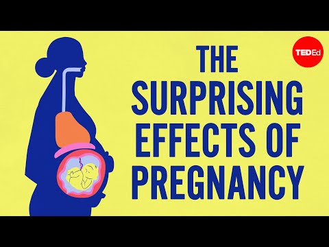 Co všechno se děje s ženským tělem v těhotenství?