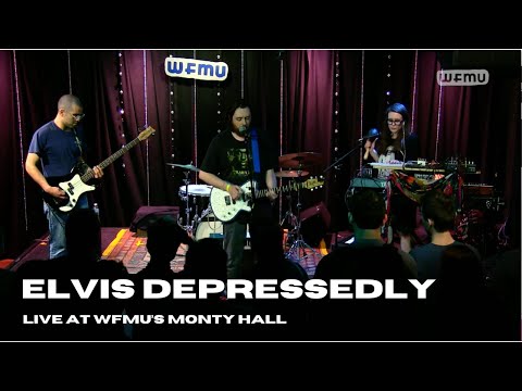 Elvis Depressedly Live at WFMU (2017) -- Full Session