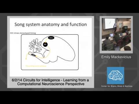 6/2/14 Emily Mackevicius: Learning from Computational Neuroscience Perspective