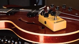 Mad Professor - Big Tweedy Drive - What To Know & Where To Buy