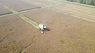 Lithuania 2026 Rapsu kulimas claas lexion