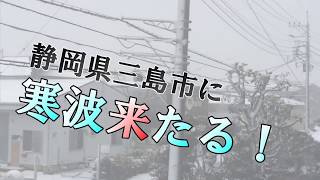【雪の三島市】静岡県三島市に寒波来たる！