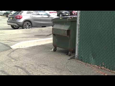 Pastal Worker Charged