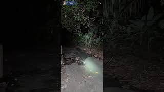 Download lagu padu gila boswwan part 1/3 sarang pocong mp3