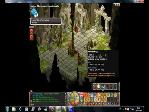 comment entrer dans le donjon d'incarnam dofus