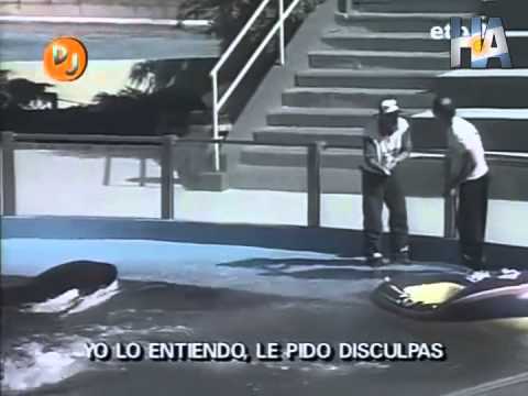 Videomatch - El Peor Viaje de tu Vida 02 - SIN CORTES