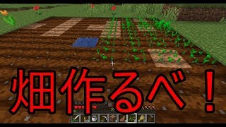 黒者のマインクラフト　パート4　農業に目覚める黒者
