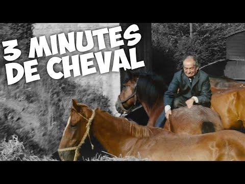 3 minutes de cheval avec Louis de FunÃƒÂ¨s !