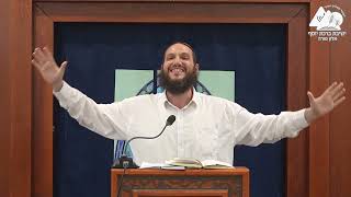 חינוך | הרב שחר אימבר | שיחות התחזקות | 26 (ישיבת ברכת יוסף - אלון מורה) - התמונה מוצגת ישירות מתוך אתר האינטרנט יוטיוב. זכויות היוצרים בתמונה שייכות ליוצרה. קישור קרדיט למקור התוכן נמצא בתוך דף הסרטון חינוך | הרב שחר אימבר | שיחות התחזקות | 26 (ישיבת ברכת יוסף - אלון מורה) - התמונה מוצגת ישירות מתוך אתר האינטרנט יוטיוב. זכויות היוצרים בתמונה שייכות ליוצרה. קישור קרדיט למקור התוכן נמצא בתוך דף הסרטון