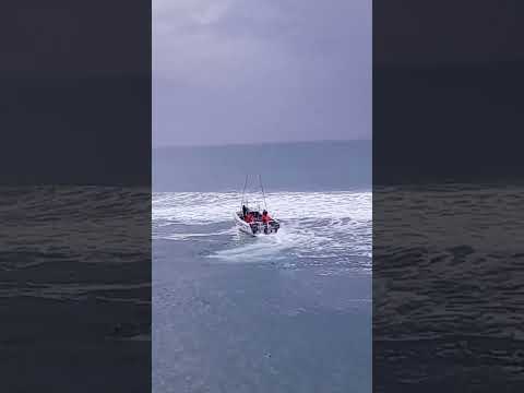 Sonny Evans  - Shelly Beach