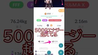1時間で3000メガエナジー稼いでみた🐶✨700匹捕獲 #ポケモンgo #pokemongo #pokemongoshorts