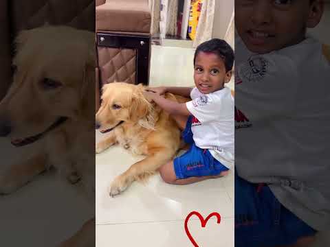 Always in love with pets #dogs #doglover #petslover #pets #kleo #dogsloversfavorites #savepets