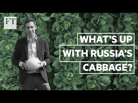 What cabbage inflation says about the Russian economy | FT