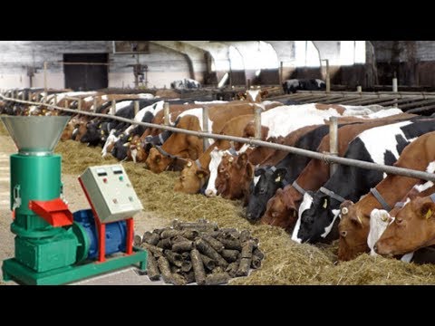 Animal Feed Making Machine - Animal Feed Production Machine Latest Price, Manufacturers & Suppliers Animal Feed Making Machine - Animal Feed Production Machine Latest Price, Manufacturers & Suppliers