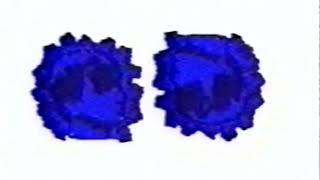 The Fall levitate 1997