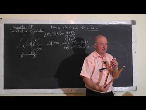 1/2 1247 Piramida Trunchiul de piramida Apotema piramidei Patrat Dreptunghi Linie mijlocie - Clasa 8