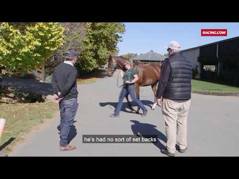 Rostropovich recovery touches stable