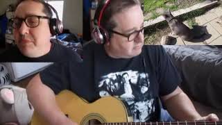 Guitar Vocal Cover Jackson Browne I&#39;m The Cat Guitars Sing Singing Vocals Taz