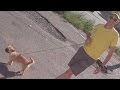 Watch Marathon Runner Reunite With Stray Dog Who Joined Him For Race