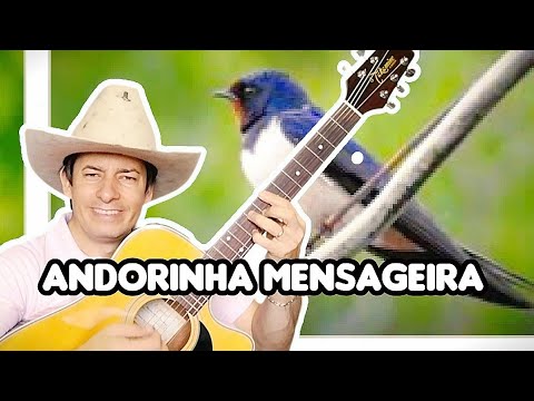 Joel Amaral I Andorinha Mensageira (Homenagem ao Barrerito)
